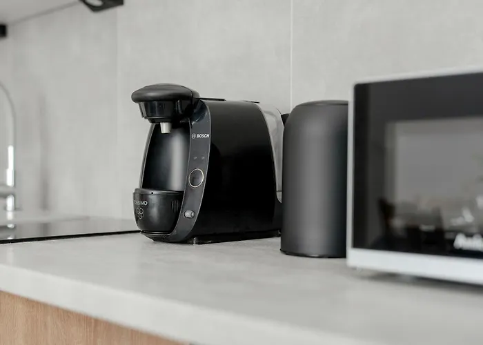 Apartment Elegancki I Stylowy Niedaleko Rynku W Poznaniu By Renters *